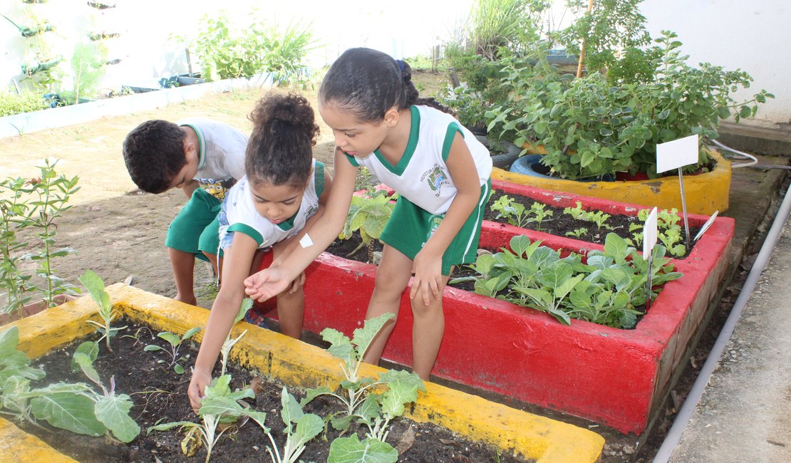 Horta escolar muda hábito alimentar de alunos da rede municipal de