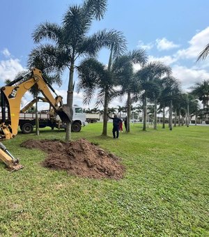 ASA inicia trabalho de ampliação do Centro de Treinamento e doa palmeiras à Prefeitura de Arapiraca