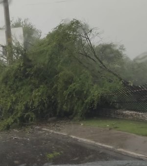 Chuvas e ventos fortes provocam estragos em Delmiro Gouveia, Sertão de AL