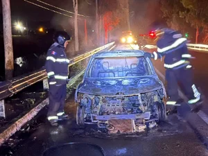 Carro pega fogo na BR-316 em Estrela de Alagoas