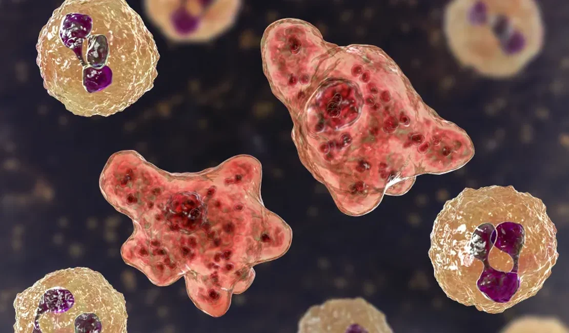 Jovem morre após rara infecção por ameba “comedora de cérebro” nos EUA