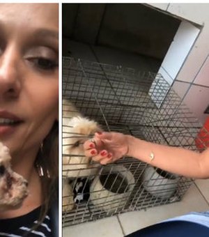Luisa Mell resgata 1,5 mil animais em canil: 'Campo de concentração'