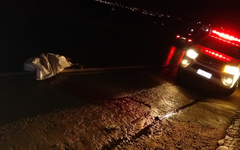 Homem é atropelado na Rodovia AL-115 , em Arapiraca