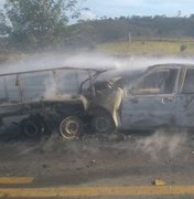 Veículo pega fogo durante acidente entre carro e reboque na BR 416