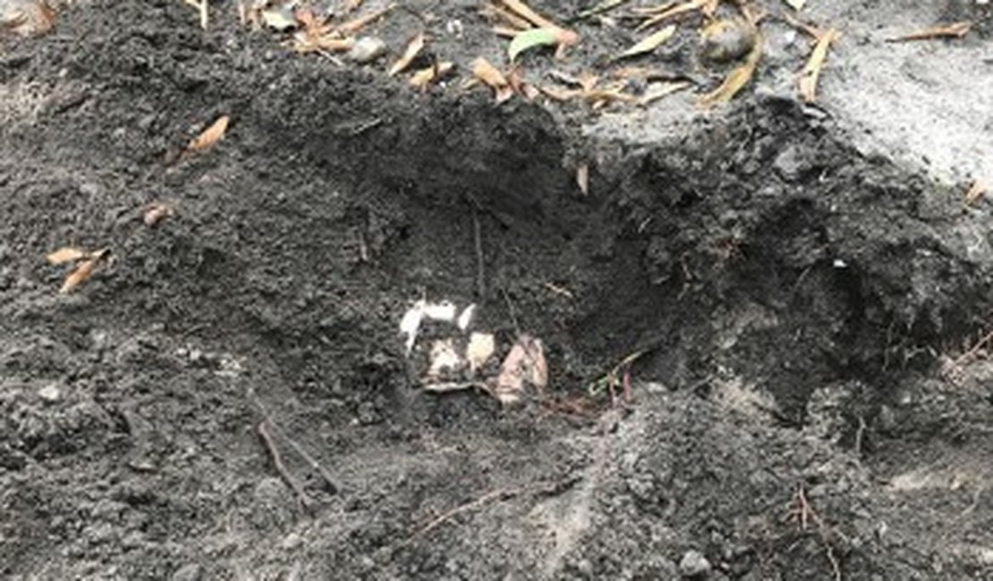 Corpo é encontrado enterrado em cova rasa próximo a cemitério