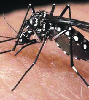 Maceió registra 864 casos suspeitos de zika vírus e 485 de dengue, segundo boletim