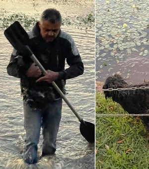 'Faria de novo', diz pedreiro que resgatou cachorro no lago de Iacanga em manhã com 3ºC