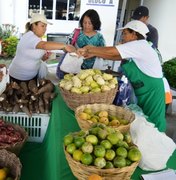 Feira da Agricultura Familiar comercializa produtos in natura no Jardim Petrópolis