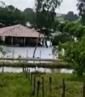 [Vídeo] Cheia do Rio São Francisco atinge propriedades rurais e impressiona ribeirinhos