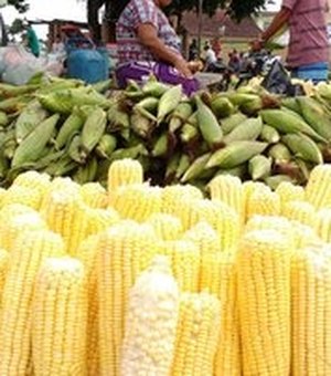 Prefeitura fiscaliza possíveis aglomerações em pontos de venda de milho em Maceió