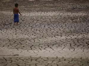 Rios da Amazônia atingem novo recorde de seca e menor nível em mais de 120 anos