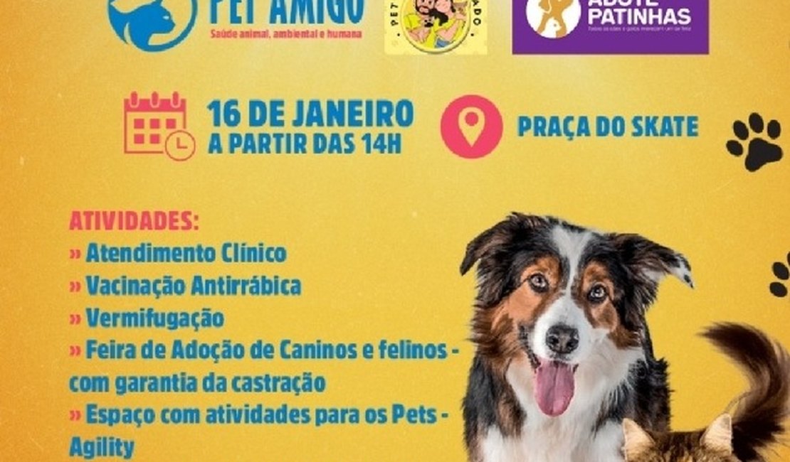 Domingo Pet promoverá ações especiais para cães e gatos em Palmeira dos Índios
