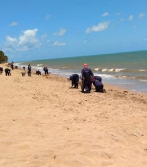 Reeducandos reforçam limpeza de praias atingidas por óleo em AL