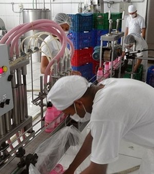 Fábrica de laticínios vai gerar 250 empregos em Murici