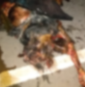 Idoso morre atropelado e veículos passam por cima do corpo em Porto Calvo