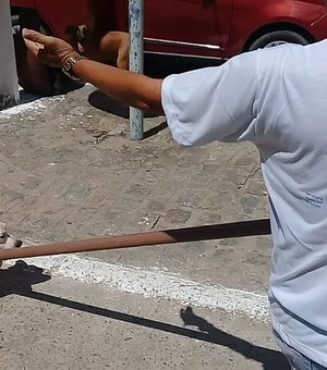 Pedestres são mordidos por pitbull em Arapiraca e Centro Zoonoses é acionado