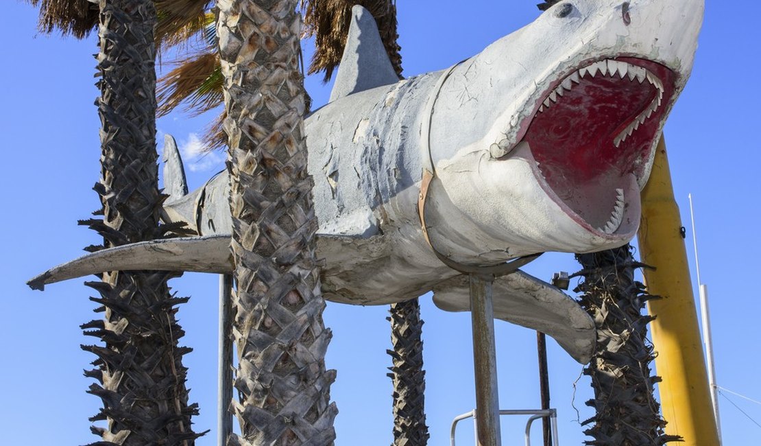 Réplica gigante do protagonista de 'Tubarão' é instalada em Museu do Oscar, nos EUA