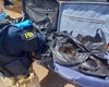 Polícia apreende 57 kg de cabelos avaliados em R$ 285 mil achados em malas