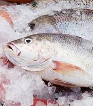 Funcionários de distribuidora de alimentos são flagrados com R$ 4.500 em peixe