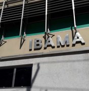 Com chefia esvaziada, Ibama quer mexer em regras para remoção de servidores