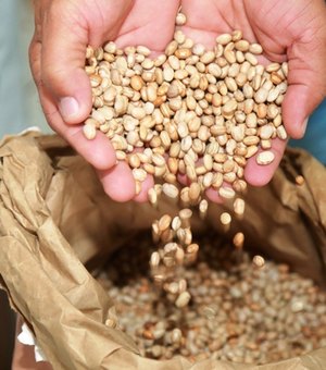 Em Penedo: Planta Alagoas abre cadastro do programa de distribuição gratuita de sementes