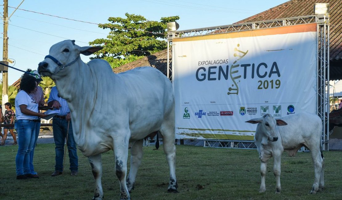 Prefeitura de Maceió apoia Expoalagoas Genética 2019