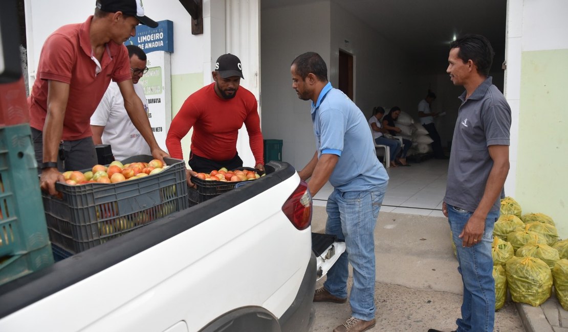 Agricultores familiares entregam mais uma remessa de alimentos ao PAA de Limoeiro de Anadia