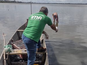 IMA apresenta relatório sobre mortes de peixes na Lagoa Mundaú