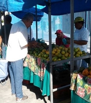 Feiras livres no interior de Alagoas são desafio para gestores