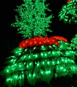 Prefeitura de Maceió ilumina árvore de Natal no Corredor Vera Arruda