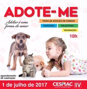 Estudantes realizam evento que reúne feira de adoção de cães e gatos, em Maceió