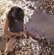 Alagoas tem redução de mais de 60% do trabalho infantil na agricultura do estado 