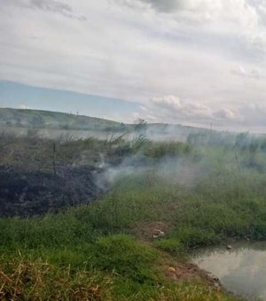 Em União dos Palmares bombeiros são acionados para conter incêndio em vegetação