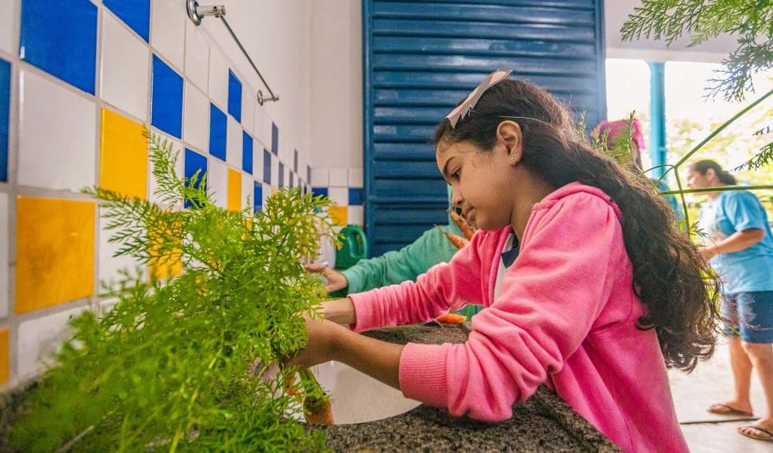 Prefeitura promove alimentação saudável com realização do projeto Sementinhas Sustentáveis, na ﻿Escola de Campo