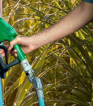 Vendas do etanol caem 30%; combustível pode chegar a R$ 5,89 em Maceió