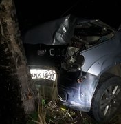 Carro colide em coqueiro e deixa feridos em Japaratinga
