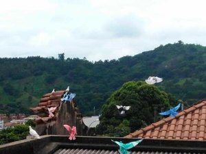 Pombos aparecem pintados e revoltam moradores em MG