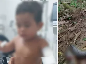 [Vídeo] Criança de 2 anos que brincava às margens de rio é atacada por sucuri