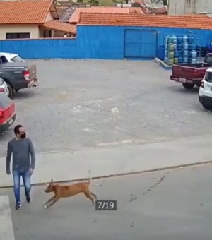 [Vídeo]  Homem é derrubado por cachorro ao tentar atravessar a rua