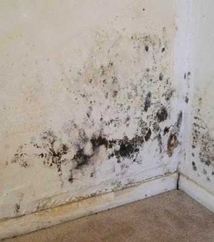 Arapiraquenses relatam infestação de mofo em paredes, teto, armários e roupas