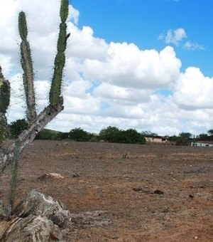Audiência pública vai discutir ações de enfrentamento à seca em Palmeira dos Índios