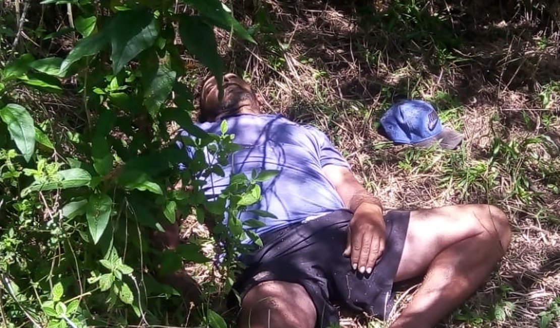 Homem morre ao ser atacado por abelhas na zona rural de Traipu