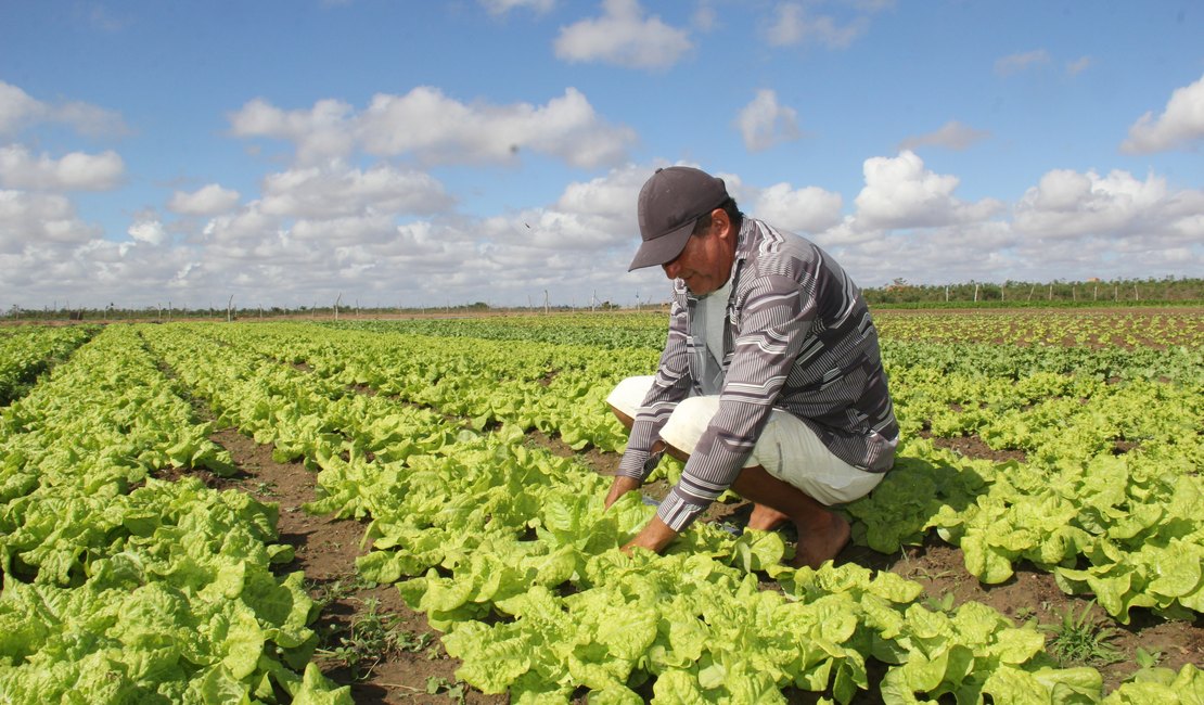 Prefeitura vai disponibilizar mais de R$ 1 milhão para pequenos agricultores