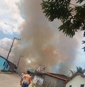 [Vídeo] Incêndio em área de vegetação assusta moradores de Palmeira dos Índios