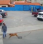 [Vídeo]  Homem é derrubado por cachorro ao tentar atravessar a rua