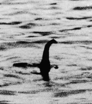 Enguia gigante pode estar por trás do mito do Monstro do Lago Ness