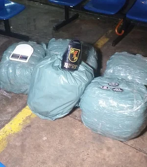 Policia apreende 41 quilos de maconha em residência na Chã da Jaqueira