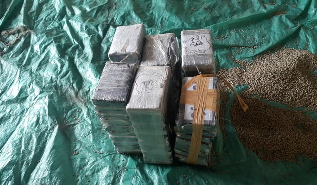 Apreensão de cocaína bate recorde em 2019