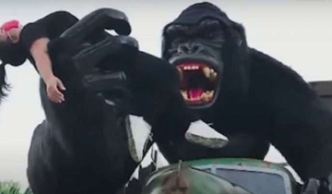 Menino que caiu de brinquedo do Beto Carrero se assustou com som emitido pelo ‘Gorila’