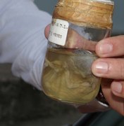Estudante rouba feto humano em pote de vidro e é apreendido com espingarda artesanal